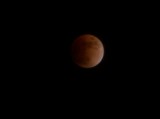 lunar_eclipse_2008-02-20_1.jpg