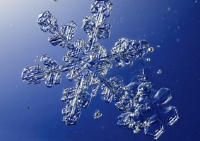 snowflake1